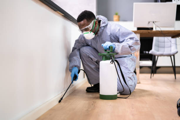 Best Residential Pest Control  in Level Park Oak Park, MI